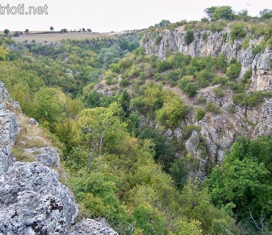 Съкровището от Хотница