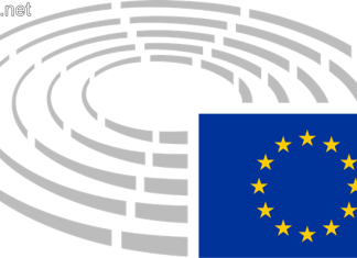 На 20 май 2007 г. се провеждат първите избори за Европейски парламент в България